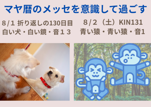 マヤ暦は私にとって占いではなく、日々の生活の羅針盤